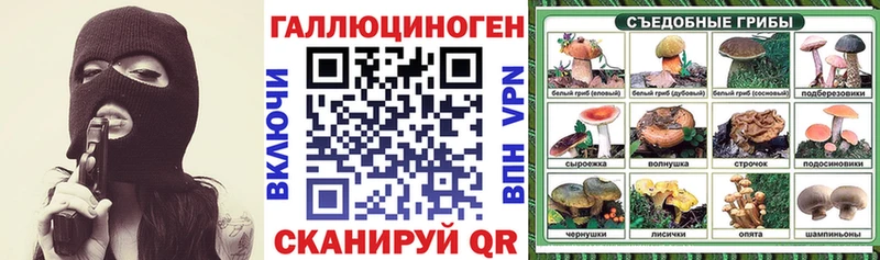Купить закладки  Минусинск  Псилоцибиновые грибы Magic Shrooms 